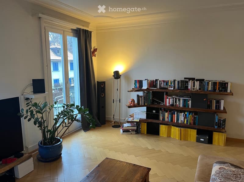 Modern living room with wooden flooring, large bookshelf filled with books, a potted plant, a floor lamp, and a sofa.