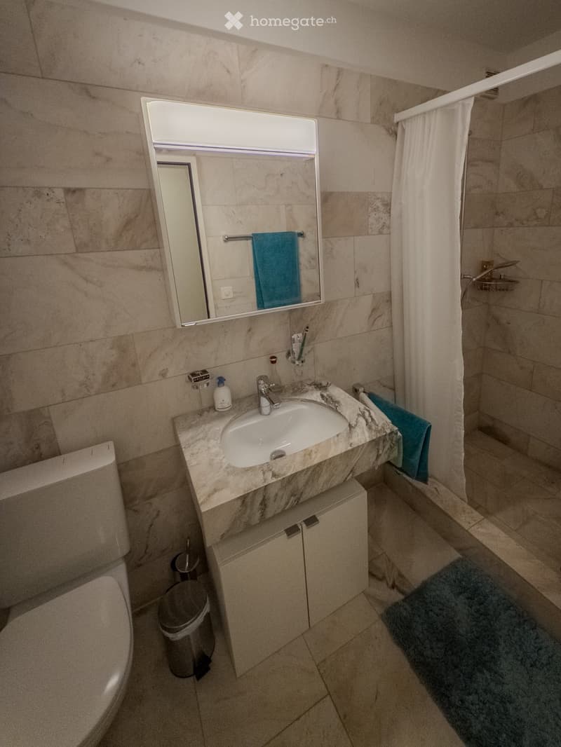 Modern bathroom with marble sink, white toilet, mirrored cabinet, and blue towels.