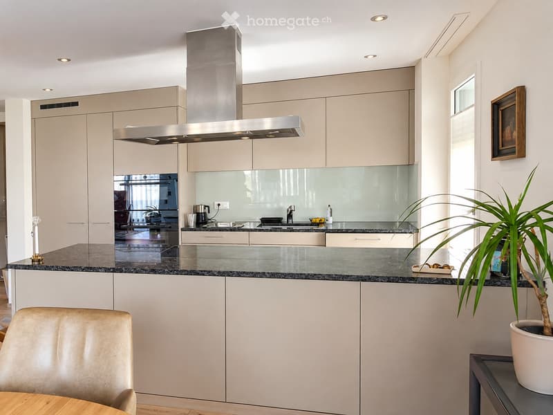 Modern kitchen with light-colored cabinets, stainless steel range hood, granite countertops, and a potted plant on the counter.