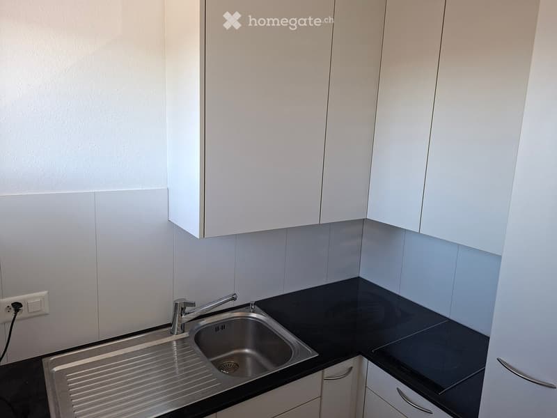 Modern kitchen with white cabinets, black countertop, stainless steel sink, and electric stovetop.