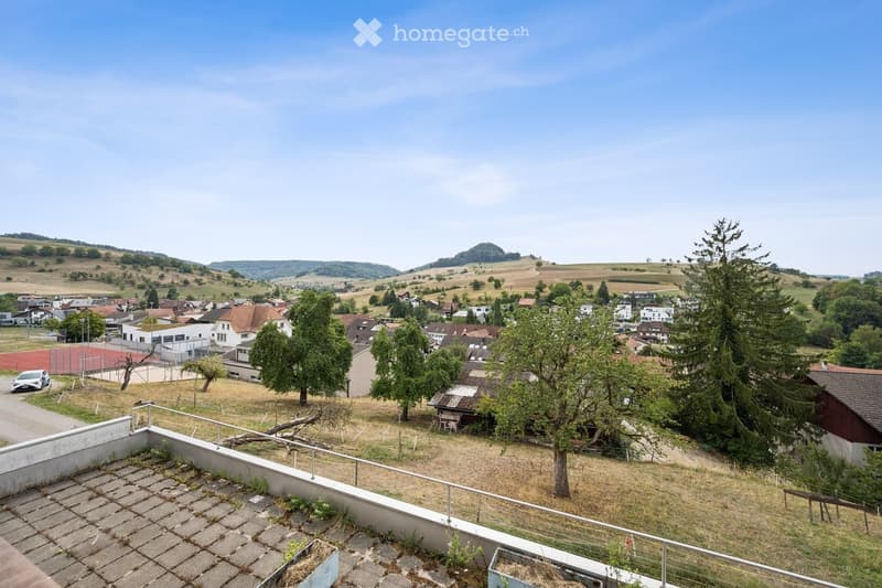 View from a rooftop terrace overlooking a residential area with houses, trees, and a distant landscape.