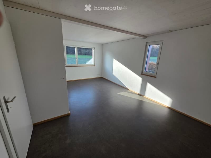 Unfurnished Room. Empty room with grey carpeted floor, white walls, and two windows letting in natural light. No furniture or equipment present.