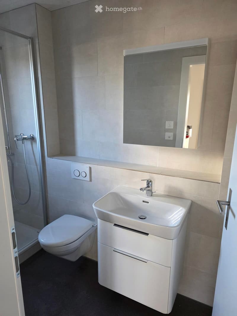 Bathroom. Modern bathroom with a white sink, faucet, mirror, toilet, and a glass-enclosed shower area.