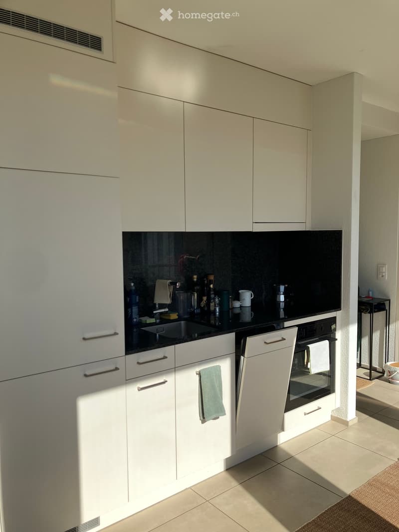 Modern kitchen with white cabinets, black countertop, and stainless steel oven. A green towel hangs from a cabinet handle.