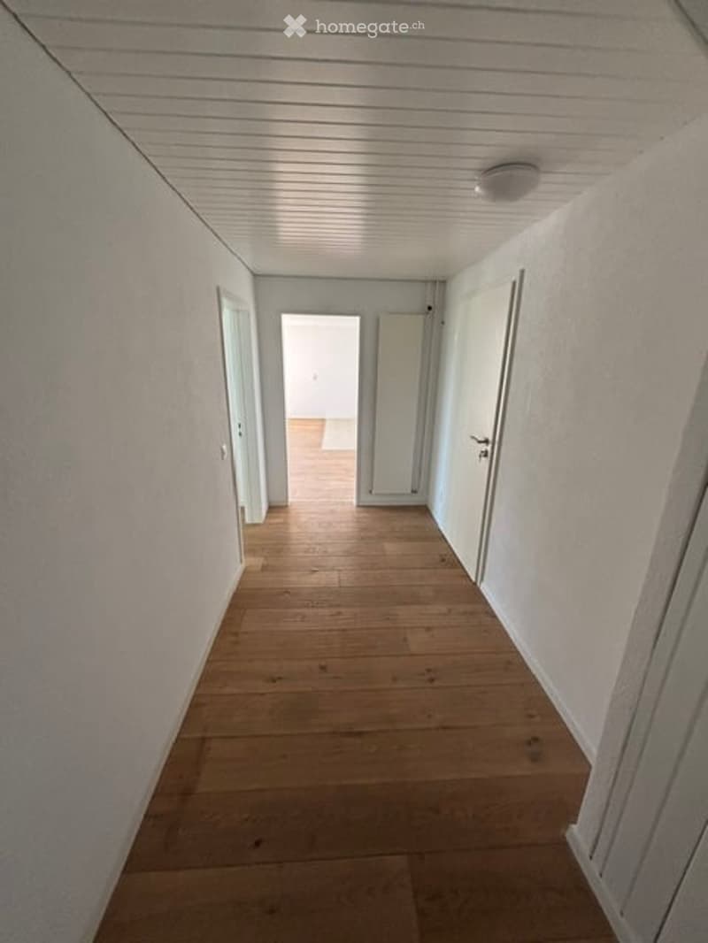 Empty hallway with wooden flooring, white walls, and several closed doors on both sides.