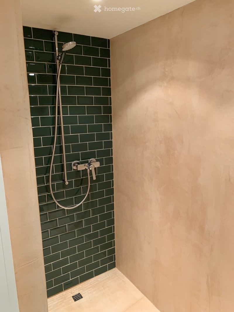 Modern shower area with dark green tiles on one wall and light beige tiles on the other, featuring a handheld showerhead and a modern faucet.