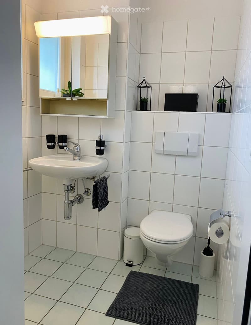 Modern bathroom with white tiles, a sink with a mirror, a toilet, and a small shelf with decorative items.