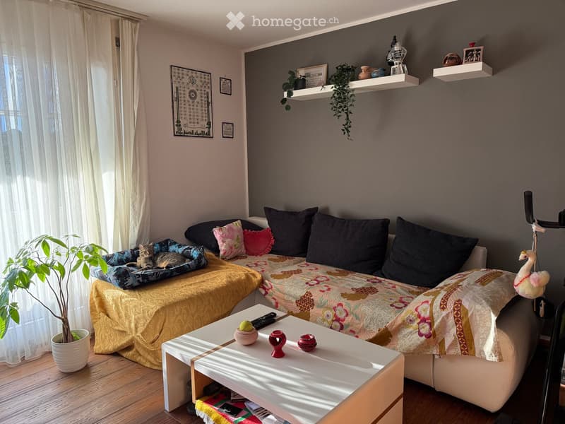 Cozy living room with a sofa, coffee table, cat bed, potted plant, and decorative shelves.
