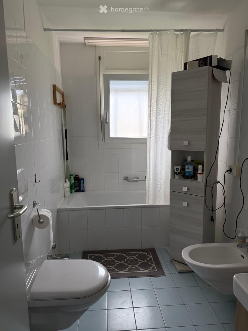 Modern bathroom with white tiles, a bathtub, toilet, sink, and a grey cabinet. Includes a patterned rug, a framed picture, and various toiletries on the cabinet and bathtub ledge.