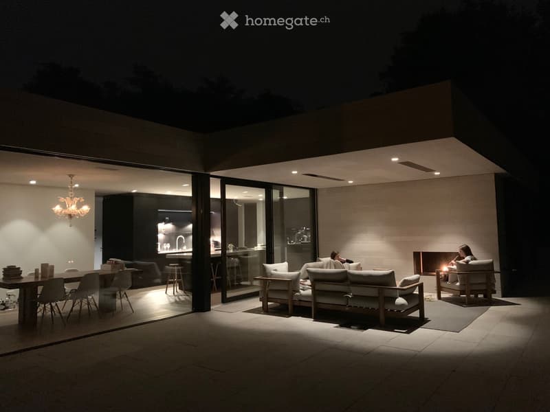 Modern house with open living space, glass walls, chandelier, fireplace, wooden couch, dining table