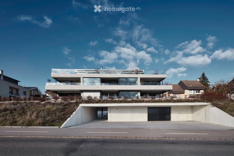 Modern architecture with a raised ground floor, glass balconies, concrete driveway