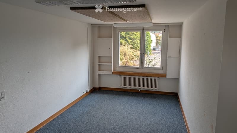 Empty room with light blue carpet, white walls, built-in shelving units, and a window with a view of greenery.