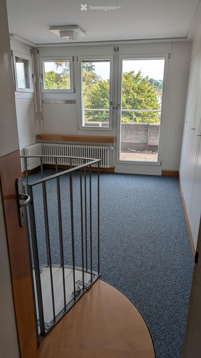 Spacious hallway with grey carpeted floor, wooden paneling, metal railing leading to a balcony area, and large windows offering a view of greenery.