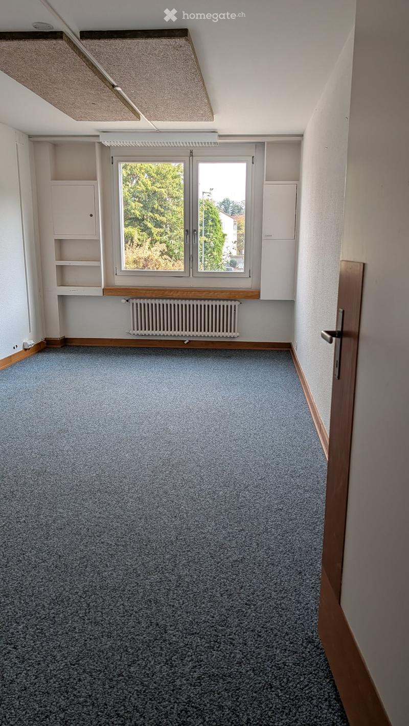 Empty room with grey carpet, white walls, built-in shelving, window with double doors, radiator, and wooden trim.