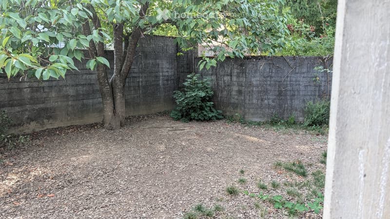 A small, gravel-covered outdoor area enclosed by a concrete wall, with a tree and some small plants visible.