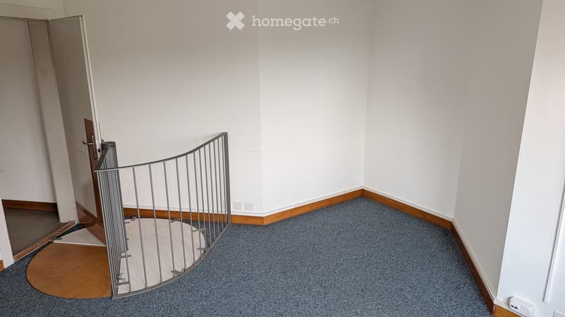 Empty hallway with blue carpet, white walls, wooden baseboards, and a metal baby gate at the entrance.
