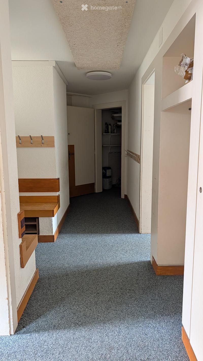 A narrow hallway with blue carpeting, white walls, and wooden trim. Features include a coat rack on the left and a small closet with shelves on the right.