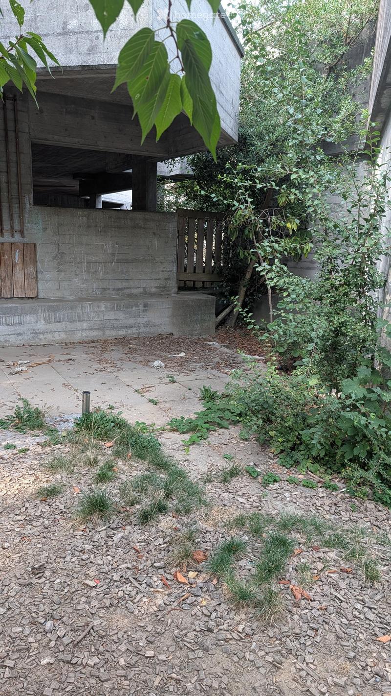 Garden area with concrete pathways, scattered rocks, overgrown vegetation, and a raised concrete platform with a wooden bench.