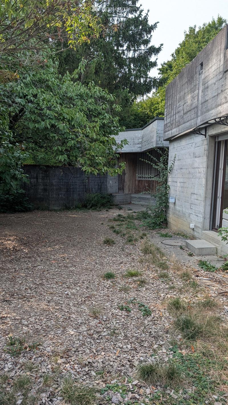 Gravel pathway leading to a modern concrete building surrounded by overgrown vegetation and trees.