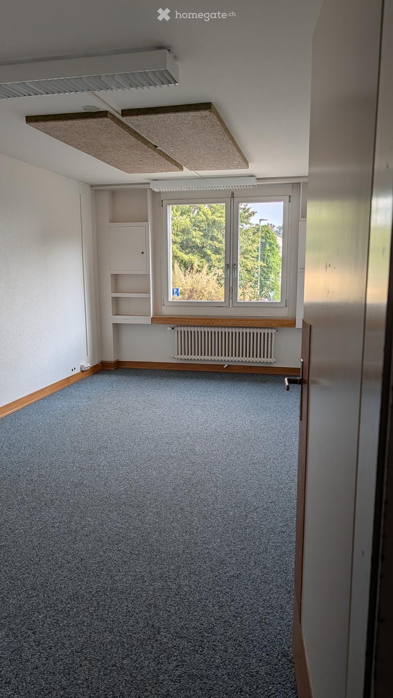 Empty room with grey carpet, white walls, built-in shelving unit, window with view of greenery, radiator, and door.