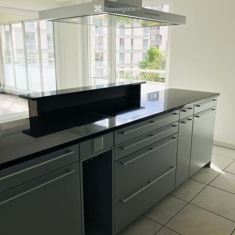 Modern kitchen with a black countertop, induction cooktop, stainless steel cabinets, and a range hood.