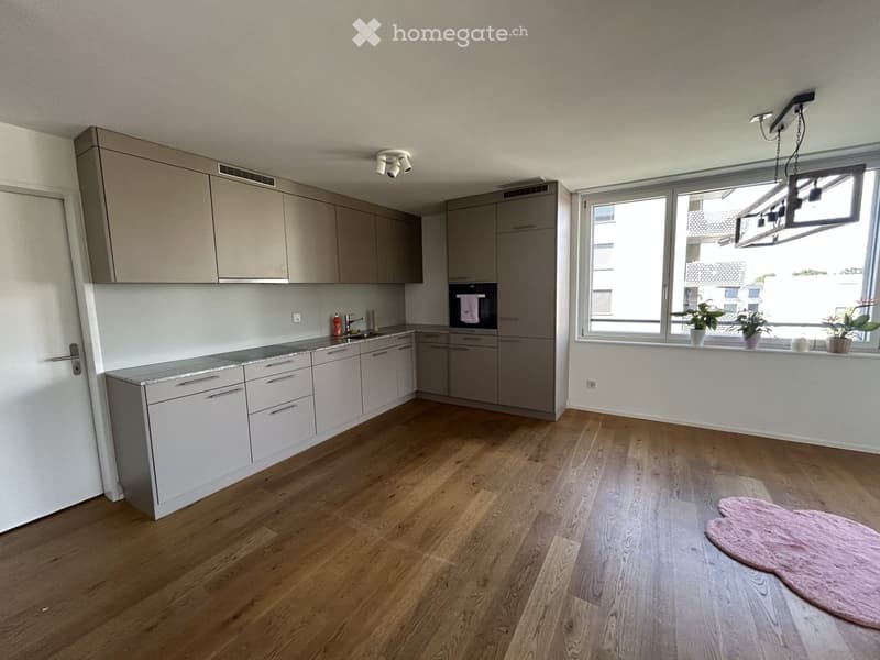 Modern kitchen with light grey cabinets, wooden flooring, and a window with potted plants on the sill. Includes a sink, oven, and a pink rug on the floor.