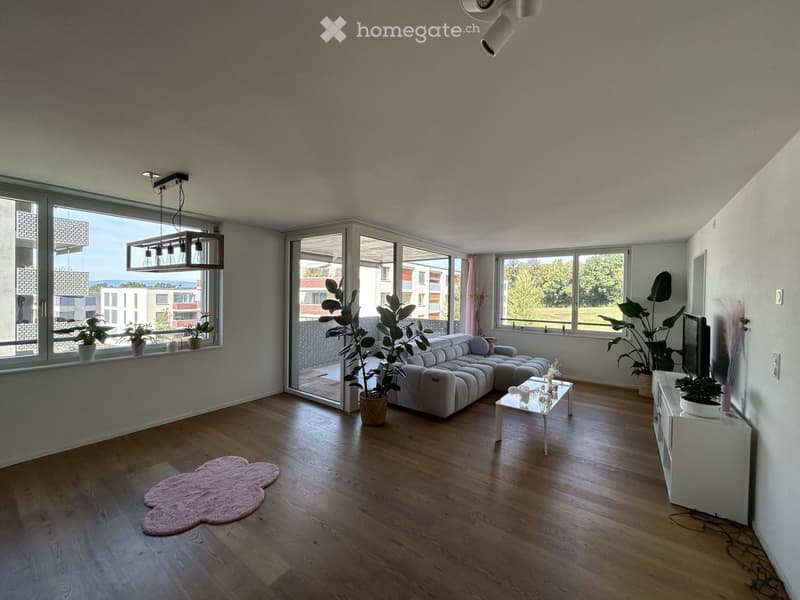 Modern living room with wooden flooring, large windows, grey sectional sofa, coffee table, side table, TV, and several potted plants.