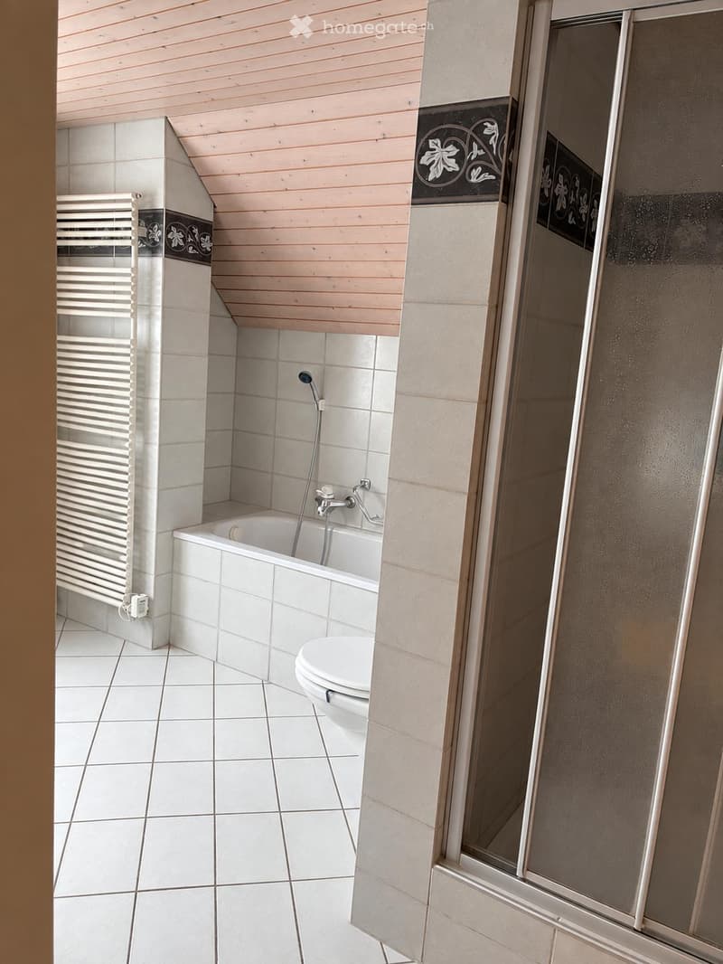 Bathroom with white tiled walls and floor, a bathtub with a handheld shower, a toilet, a radiator, and a glass shower enclosure.