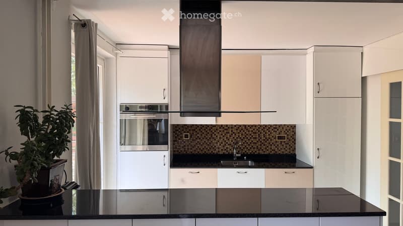 Modern kitchen with white cabinets, black countertops, stainless steel appliances, and a potted plant on the counter.