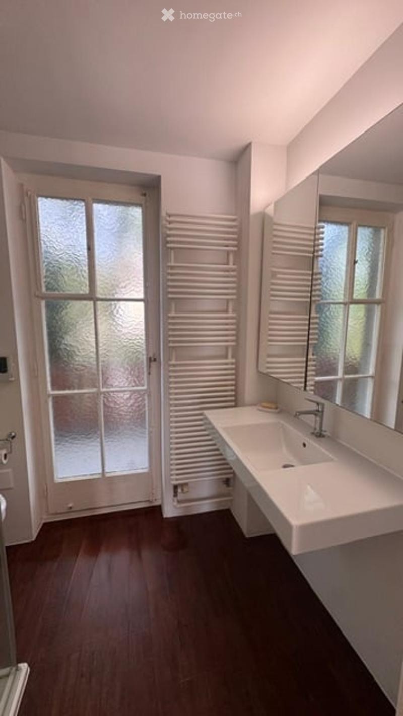 Modern bathroom with a white sink, large mirror, and a white radiator. The room features wooden flooring and a frosted glass door leading outside.