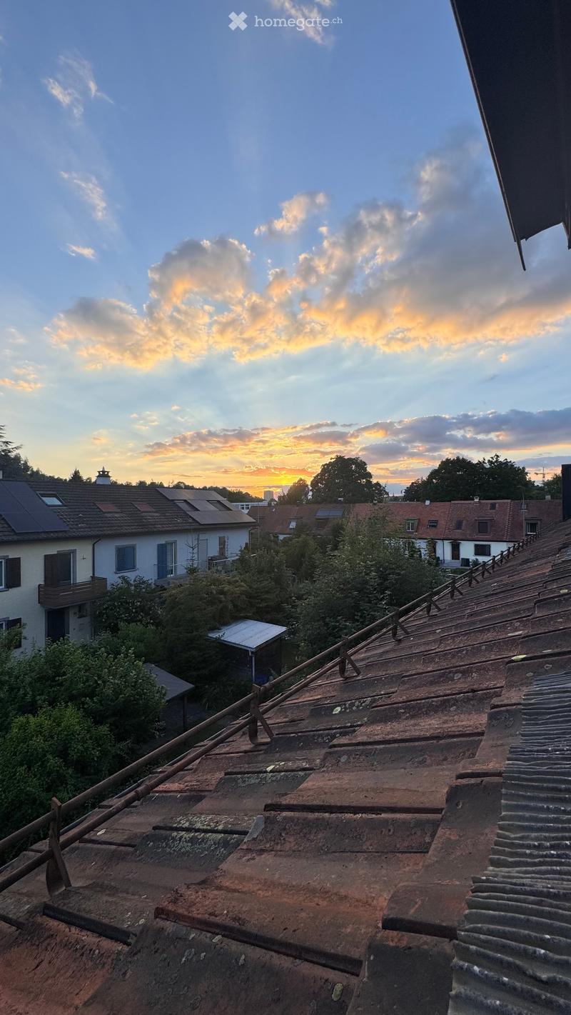 Roof view of a residential area with multiple houses, solar panels, and a sunset sky.