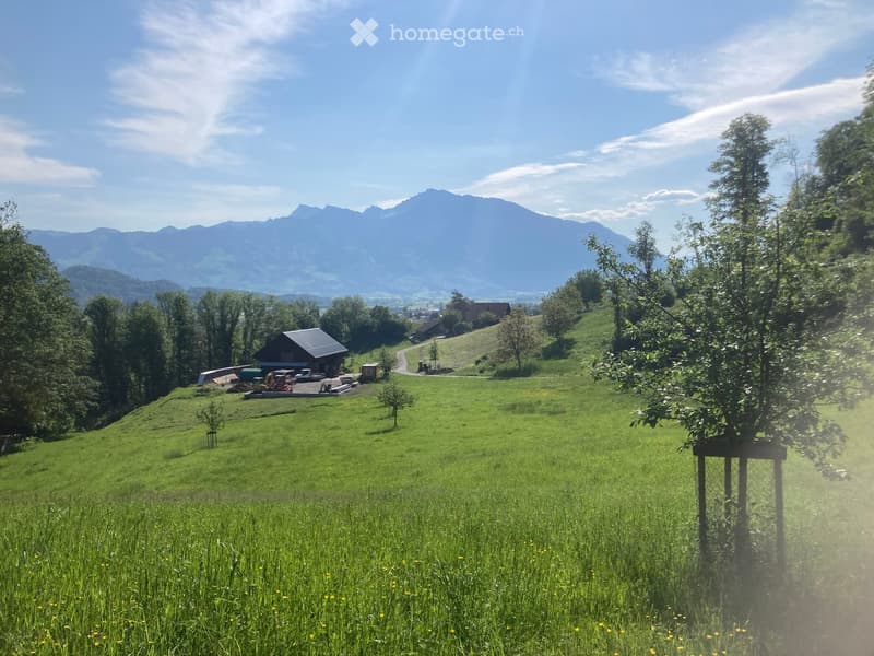 A lush green meadow with scattered trees, a small wooden structure, and distant mountains under a clear blue sky.