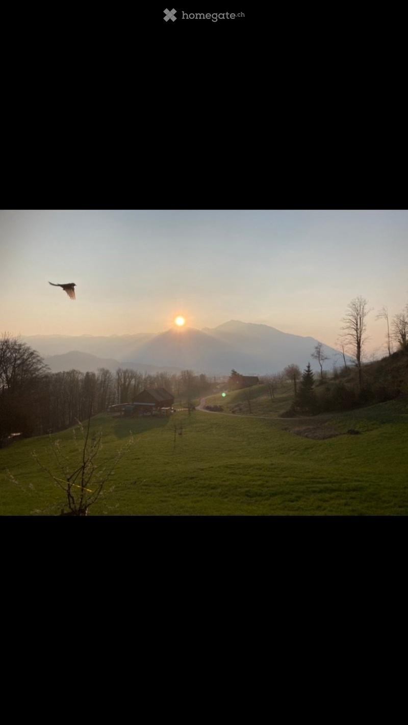 A serene landscape with a small wooden house nestled in a green field, surrounded by trees and mountains under a sunset sky.