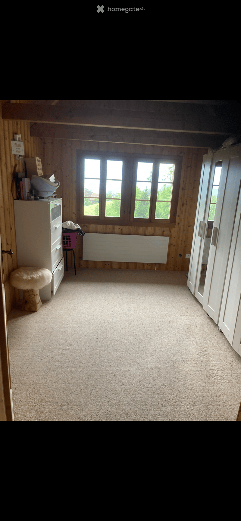 Empty room with wooden walls, carpeted floor, large window, radiator, and built-in closet. No furniture or equipment present.