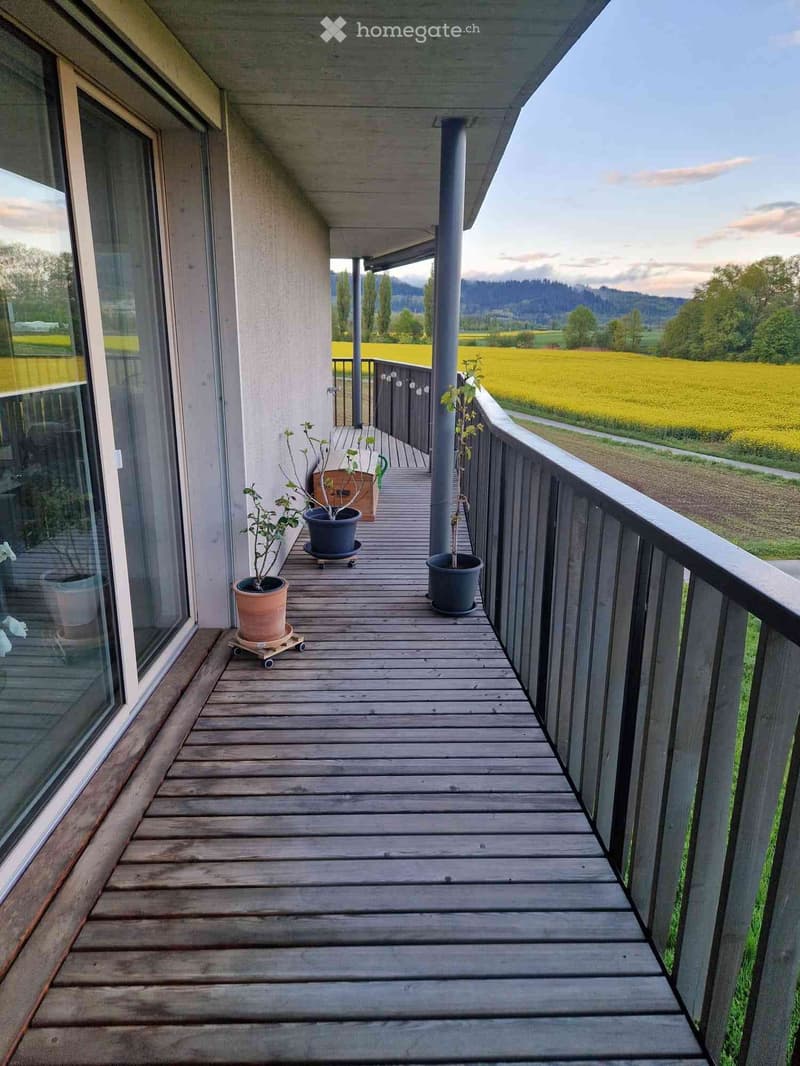 Wooden balcony with potted plants and a scenic countryside view.