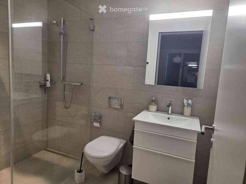 Modern bathroom with a white toilet, sink with a modern faucet, a large mirror with built-in lighting, a glass-enclosed shower, and various toiletries neatly arranged.