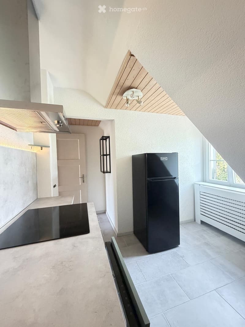 Modern kitchen with a black refrigerator, white radiator, and sleek light fixture. The space features a tiled floor and white walls with a slanted wooden ceiling.