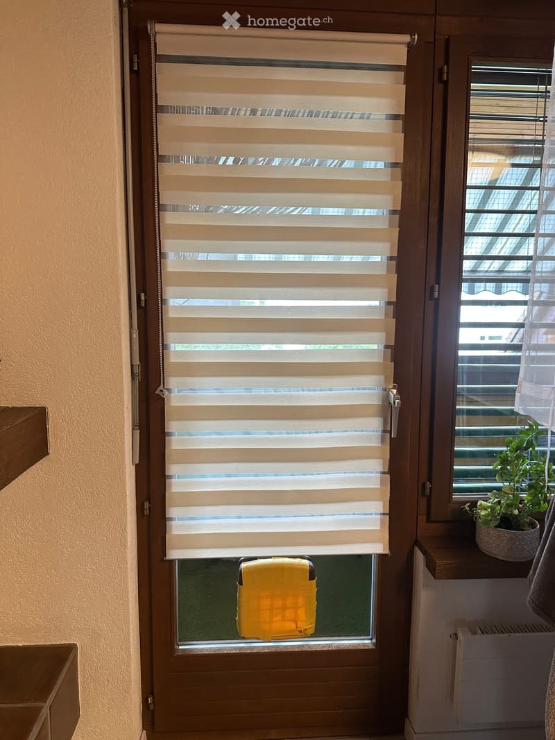 Hallway with wooden door featuring a roller blind, small potted plant on a shelf, and a yellow suitcase visible through the glass panel.