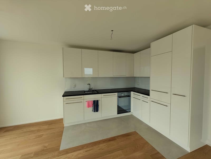 Modern kitchen with white cabinets, black countertops, wooden flooring, and a built-in oven. A towel hangs on the cabinet door.