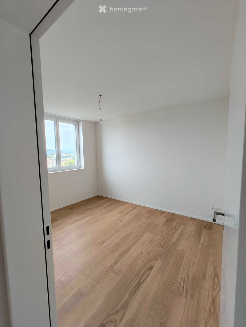 Empty room with light wooden flooring and white walls, featuring a window with a scenic view and a visible electrical outlet.