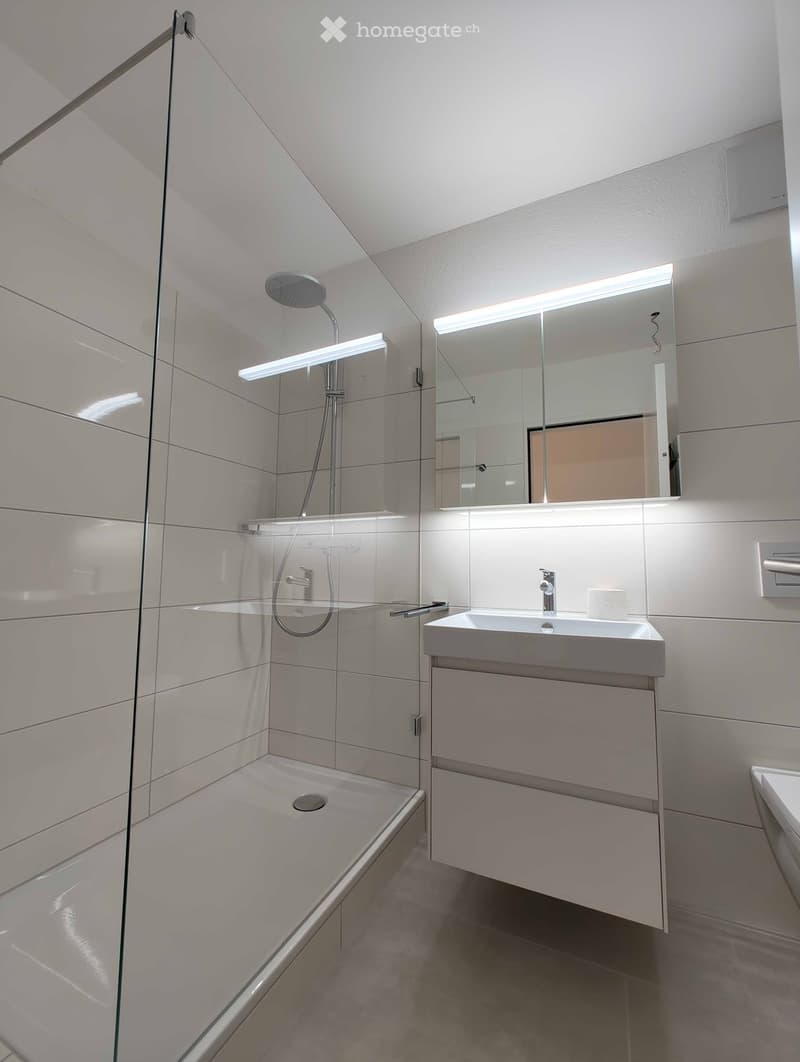 Modern bathroom with a glass-enclosed shower, a white sink with a modern faucet, a large mirror with built-in lighting, and a sleek cabinet.