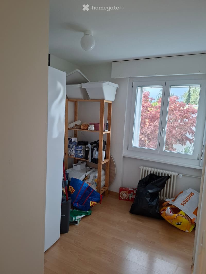 Empty room with wooden flooring, white walls, a window with a view of trees, a shelf with storage boxes, and some bags on the floor.