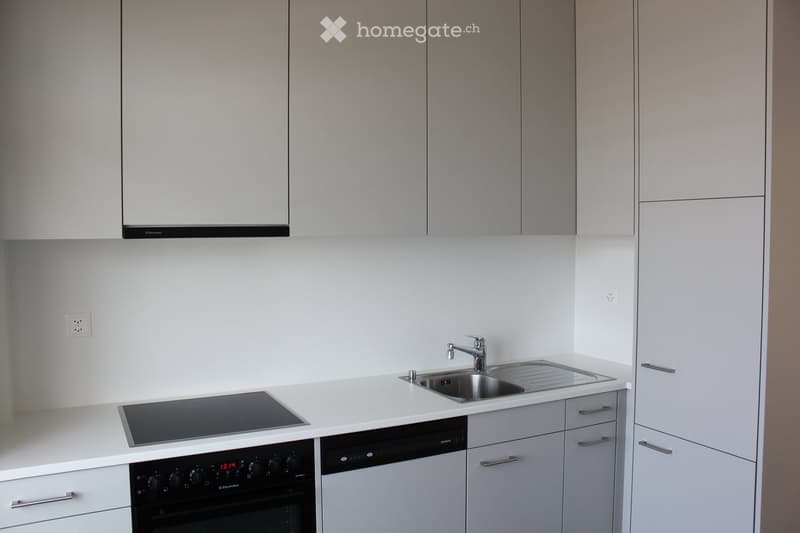 Modern kitchen with white cabinets, stainless steel sink, induction cooktop, oven, and dishwasher.