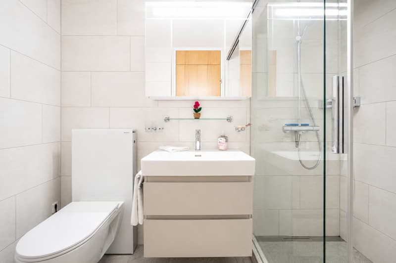 Modern bathroom with white tiles, a toilet, a sink with a mirror above, a glass-enclosed shower, and a small flower on the sink counter.