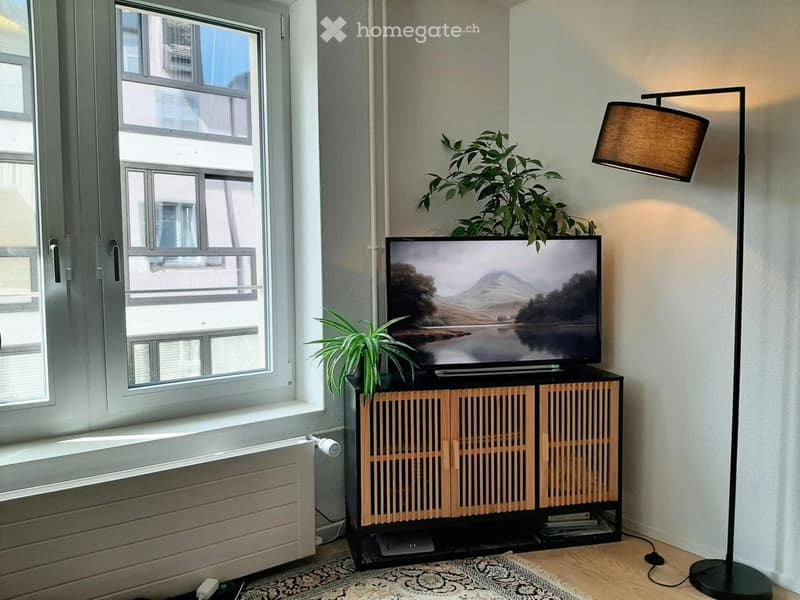Modern living room with large windows, television on a wooden stand, floor lamp, and decorative plants.