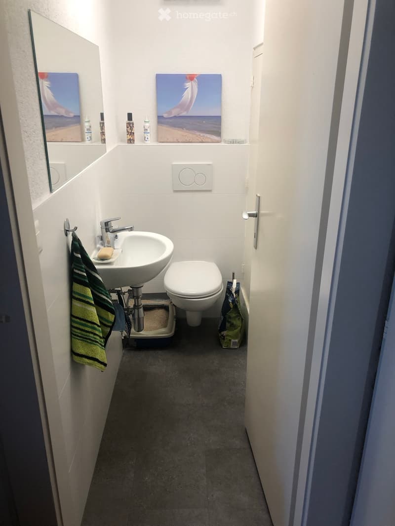 Compact bathroom with a white sink, toilet, mirror, and a towel hanging on the wall. The sink has a modern faucet and a soap dish, and there are two paintings above the sink.