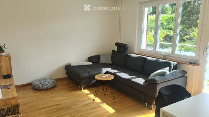 large sectional sofa, glass coffee table, potted plant, wooden floor, large windows