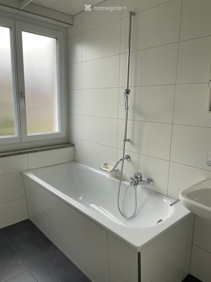 Bathtub, shower head, sink, soap dish, floor tiles, wall tiles, window