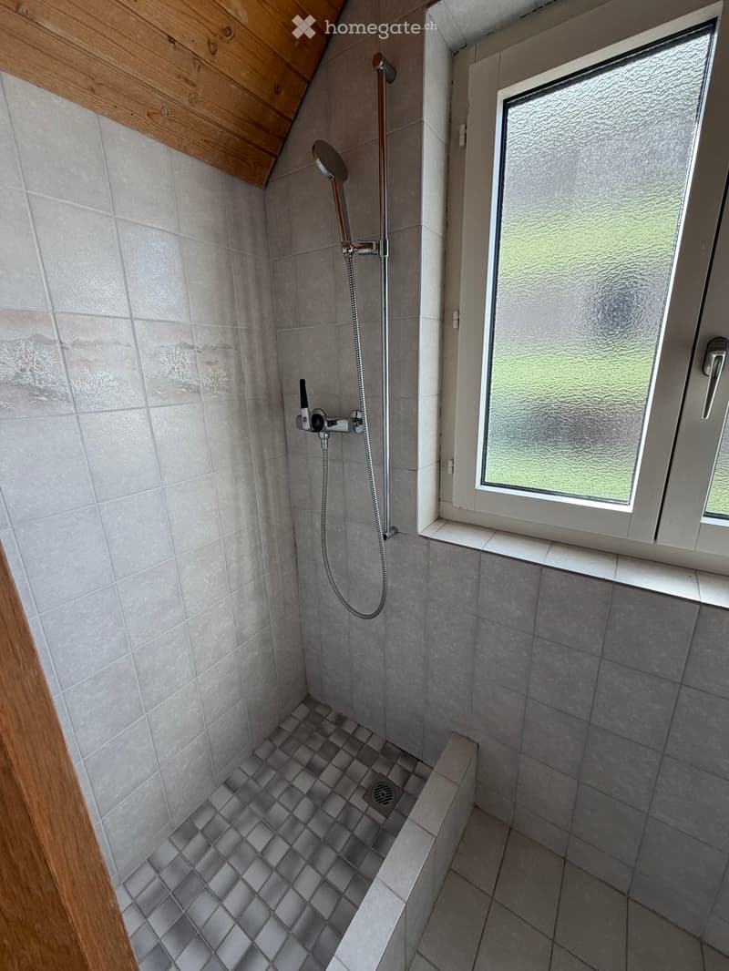 Modern shower area with grey tiles, a handheld showerhead, and a window with frosted glass.