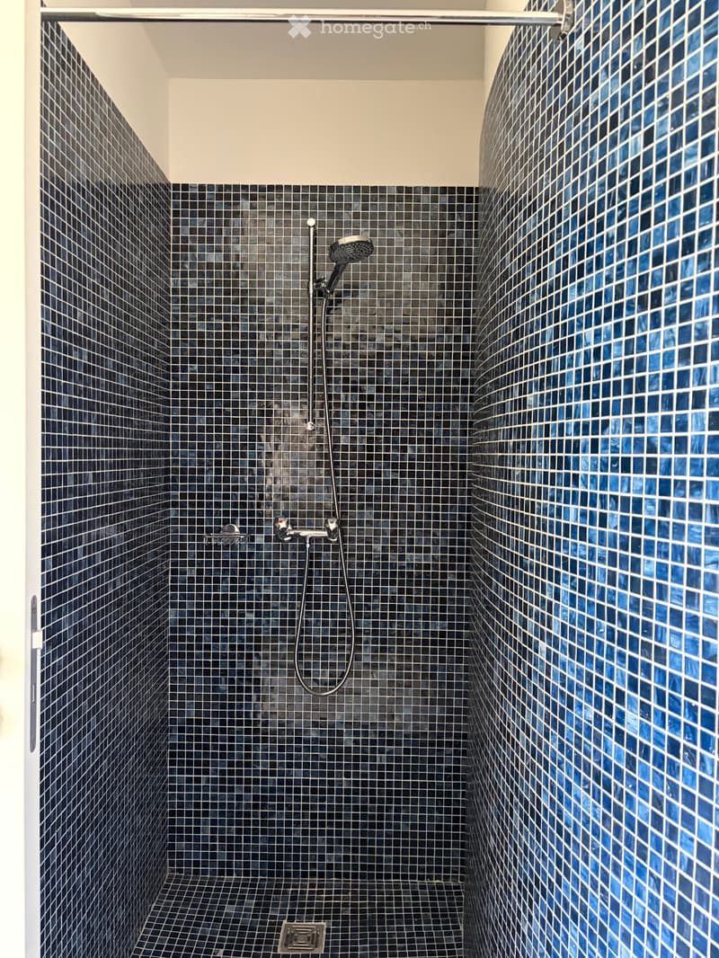 Modern shower area with dark blue mosaic tiles and a sleek showerhead.